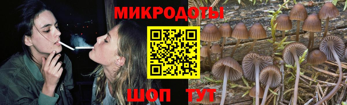 Новороссийск  Псилоцибиновые грибы MAGIC MUSHROOMS  Вход с VPN  Псилоцибиновые грибы ЛСД 