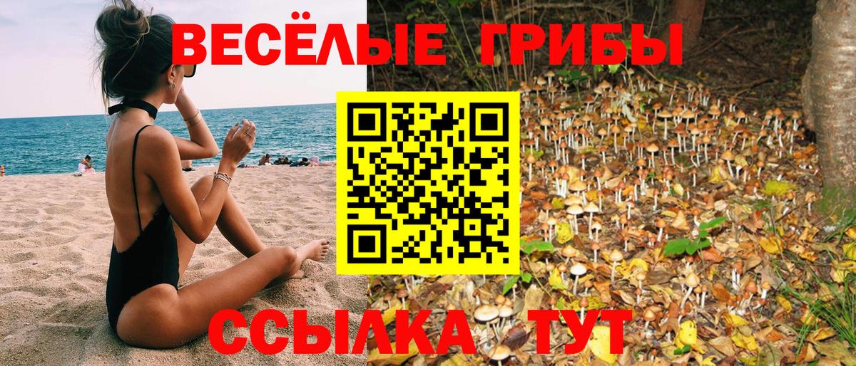 Галлюциногенные грибы GOLDEN TEACHER Новороссийск