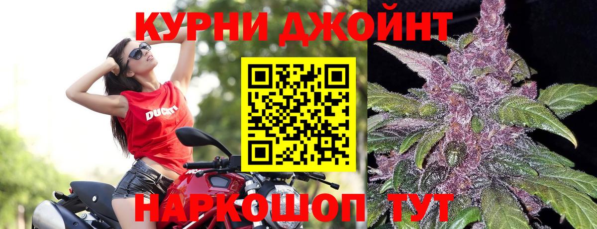 Бошки марихуана гибрид Новороссийск